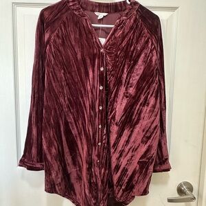 Cato Velvet Purple Button-Down Shirt